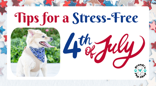 How to Keep Your Dog Safe and Comfortable During Firework Shows: Tips for a Stress-Free Holiday 🎆🐶