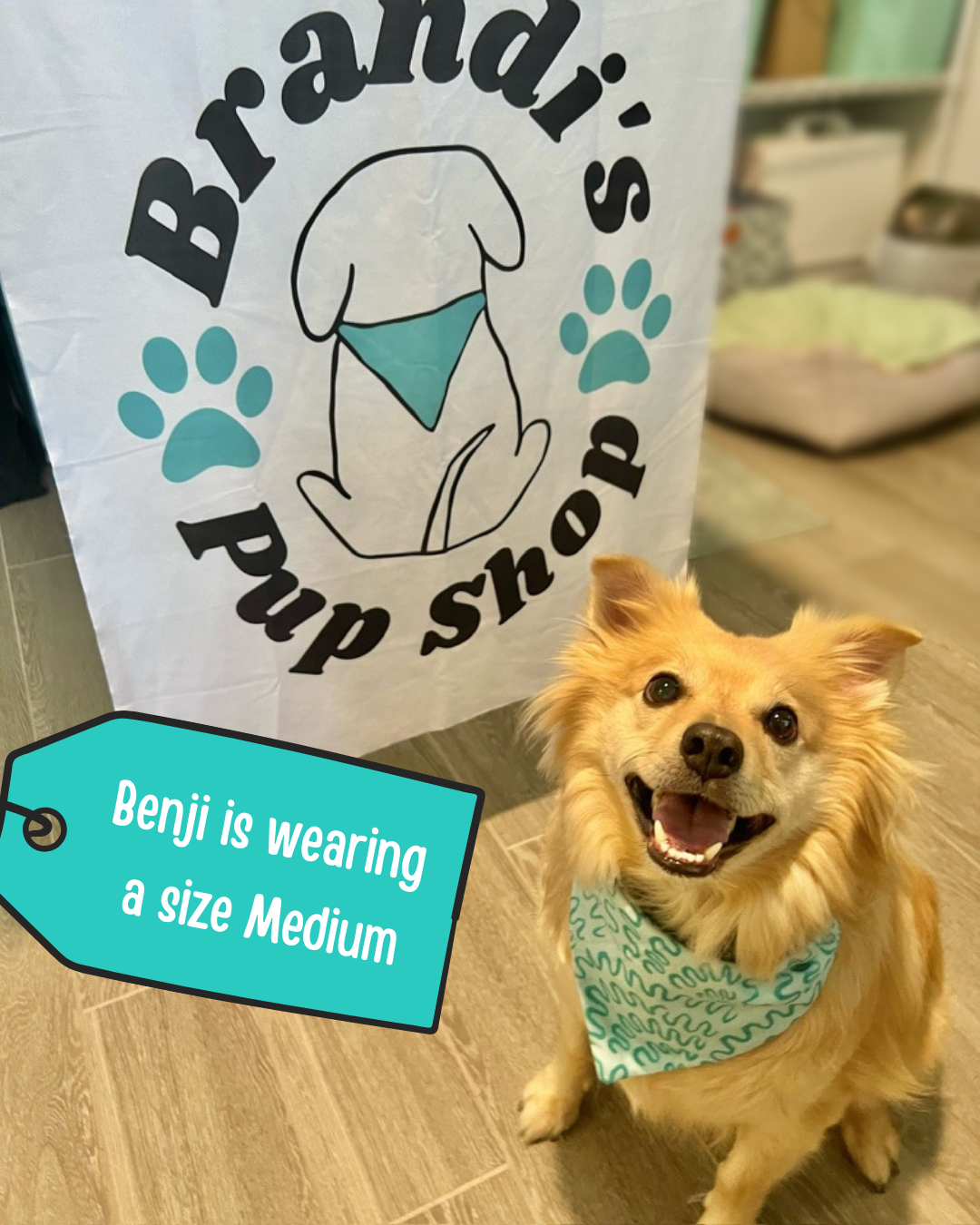 Teal Squiggles Dog Bandana