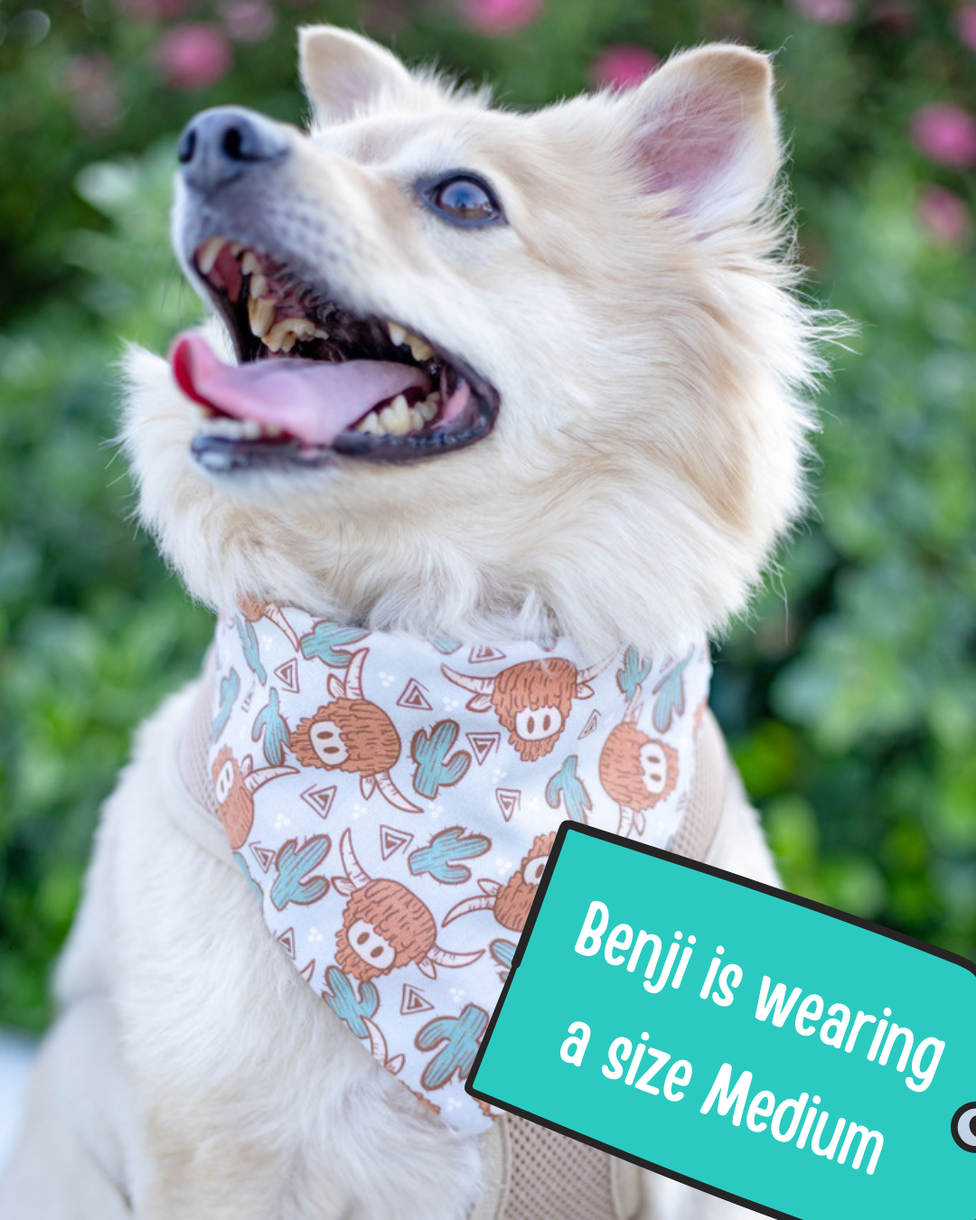 Highland Cow Dog Bandana