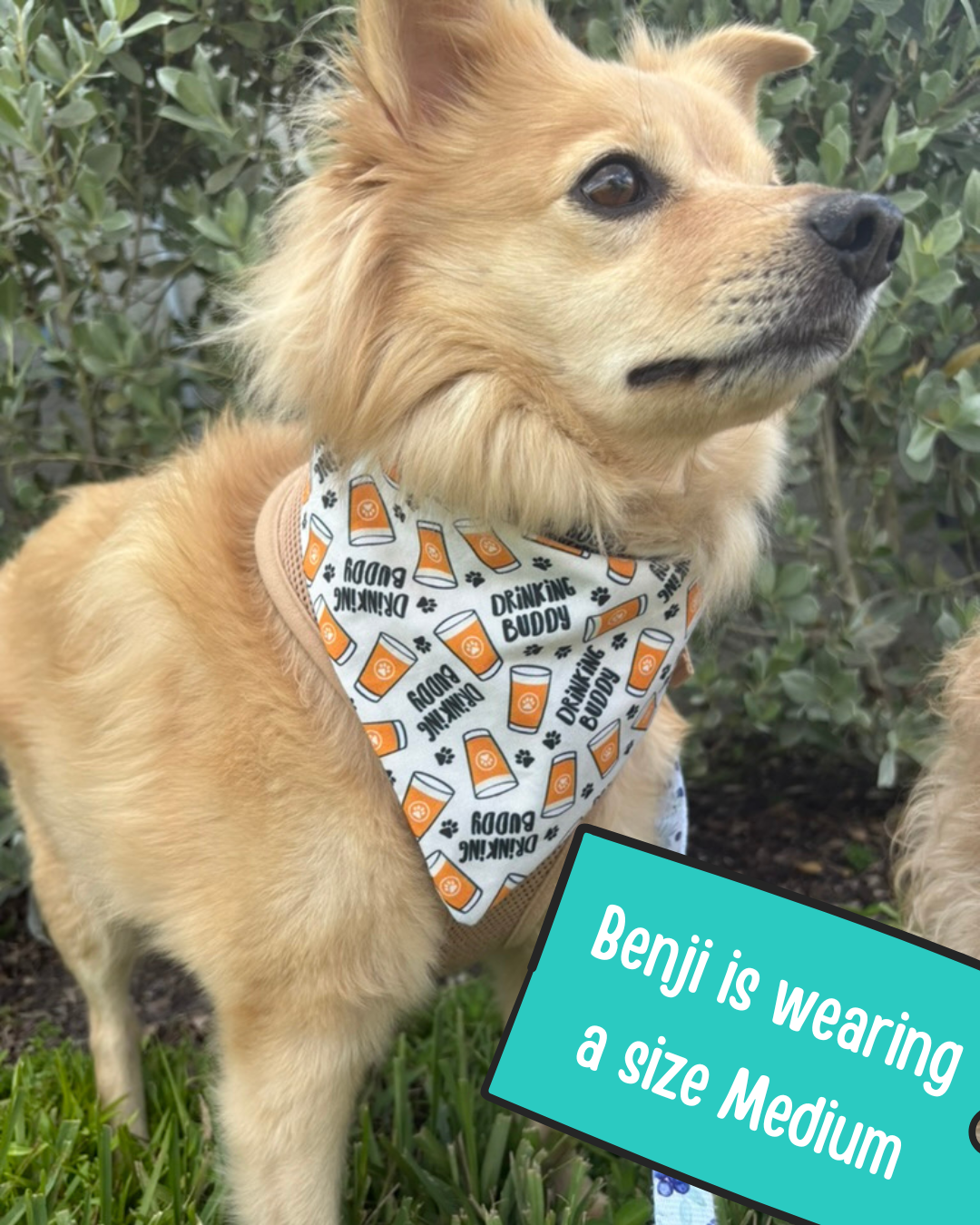 Drinking Buddy Dog Bandana