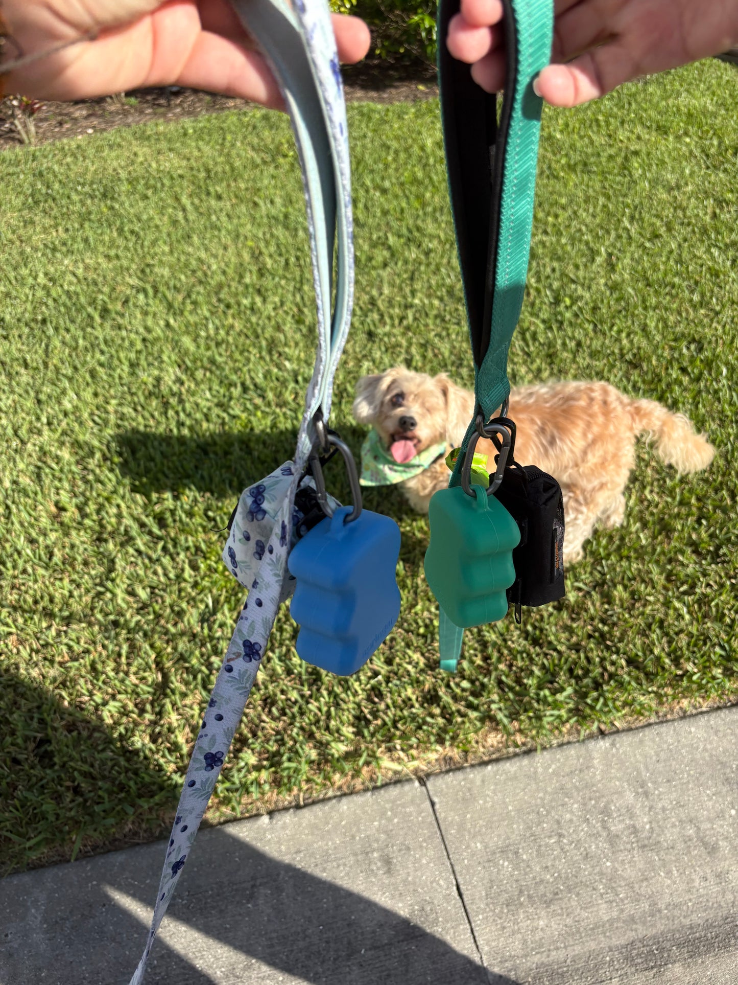 Light Blue Dog Treat Pouch