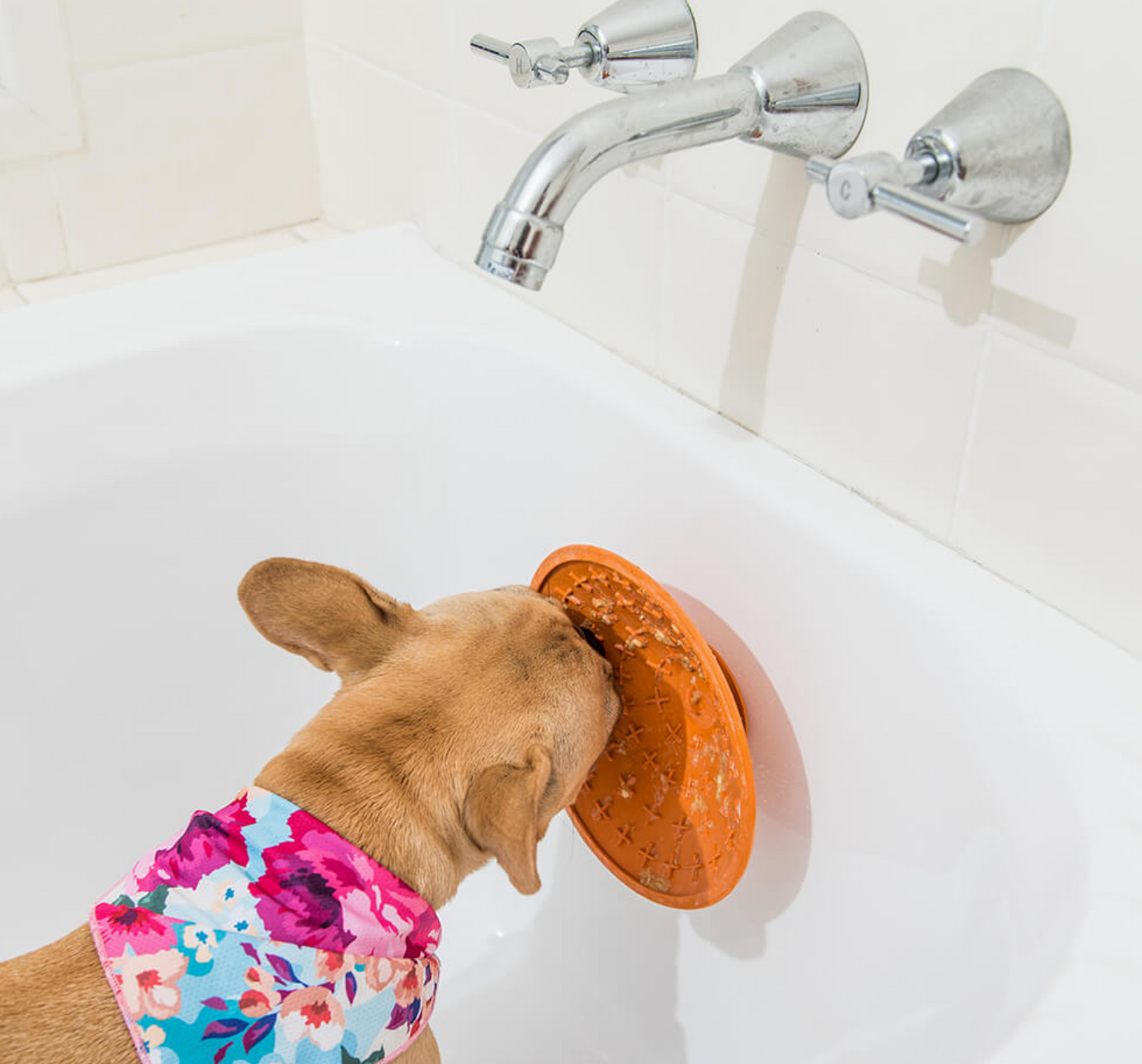 LickiMat Splash