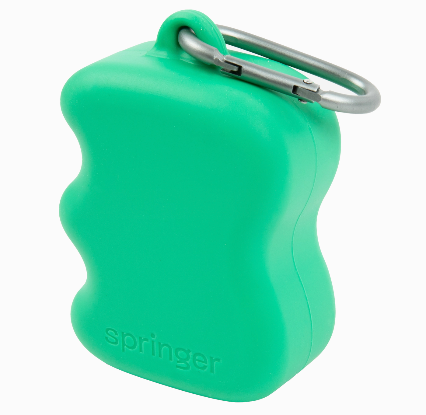 Green Dog Treat Pouch