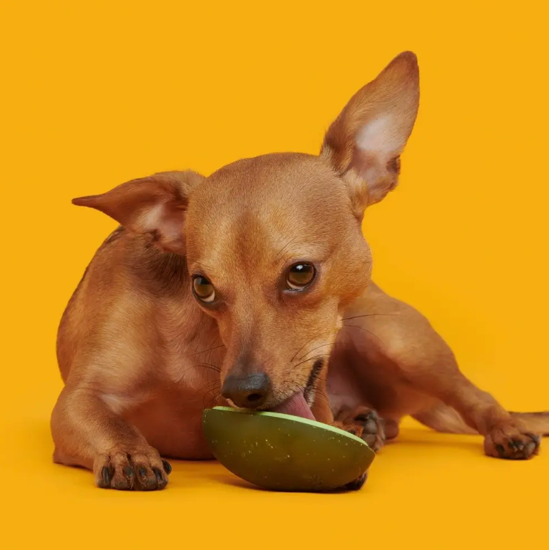 Avocado Super Chewer Dog Toy