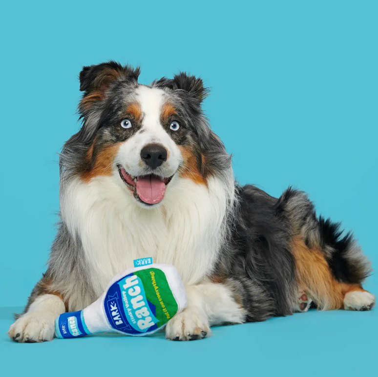 Stinky Valley Ranch Dog Toy