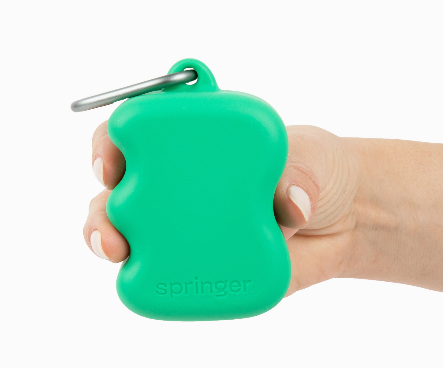 Green Dog Treat Pouch