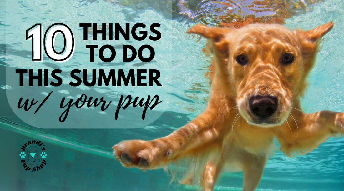 🐾 The Ultimate Dog-Friendly Summer Bucket List ☀️