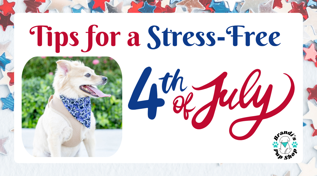 How to Keep Your Dog Safe and Comfortable During Firework Shows: Tips for a Stress-Free Holiday 🎆🐶
