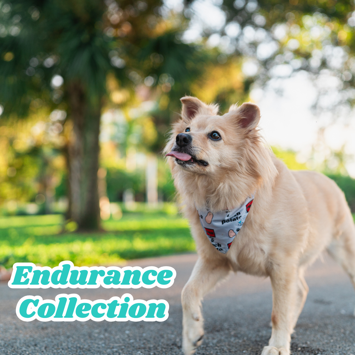 Endurance