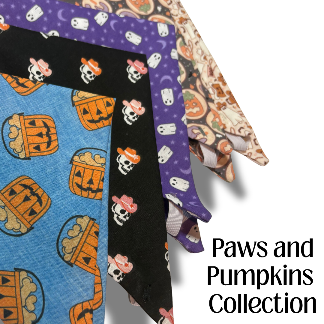 Paws and Pumpkins