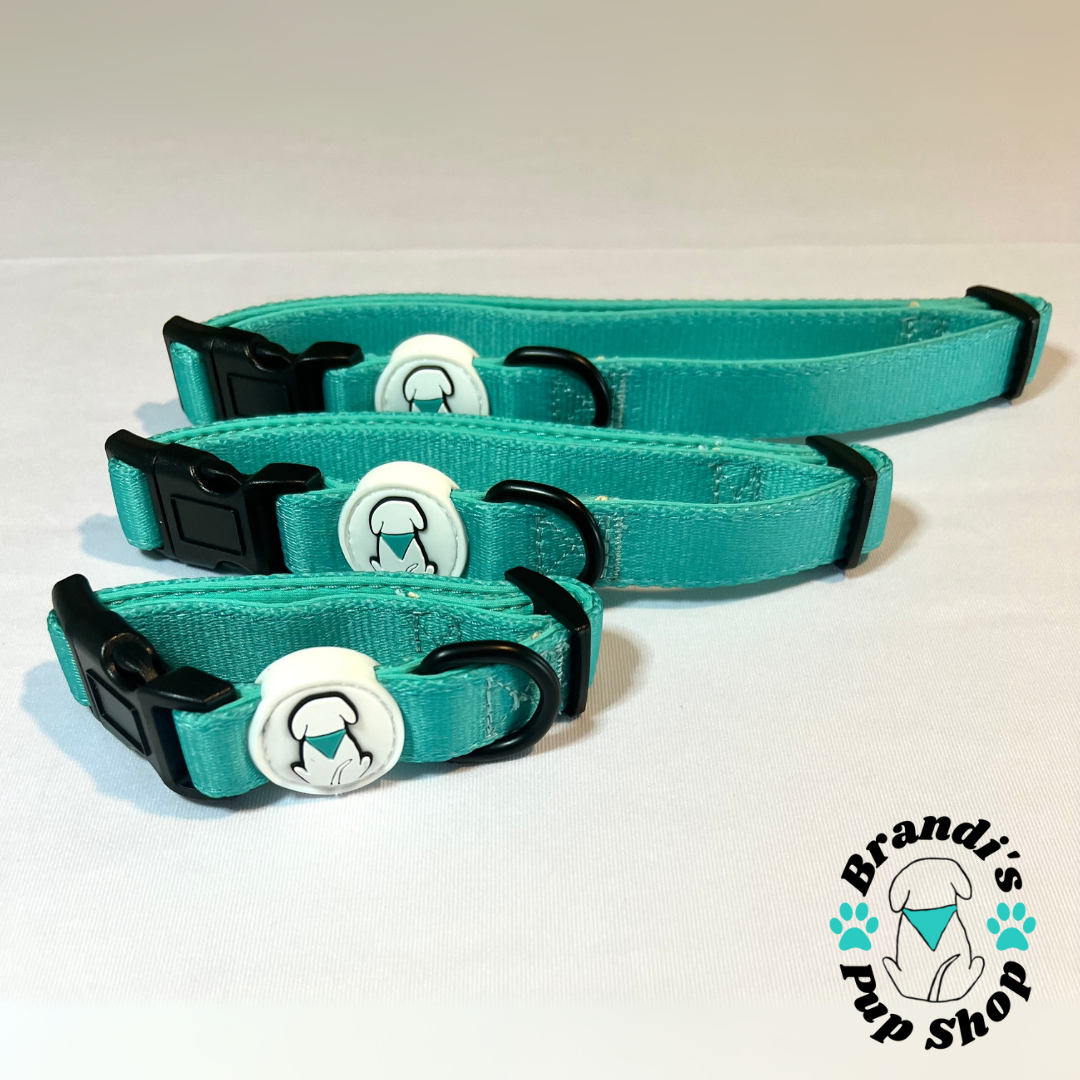 Teal BPS Neoprene Dog Collar
