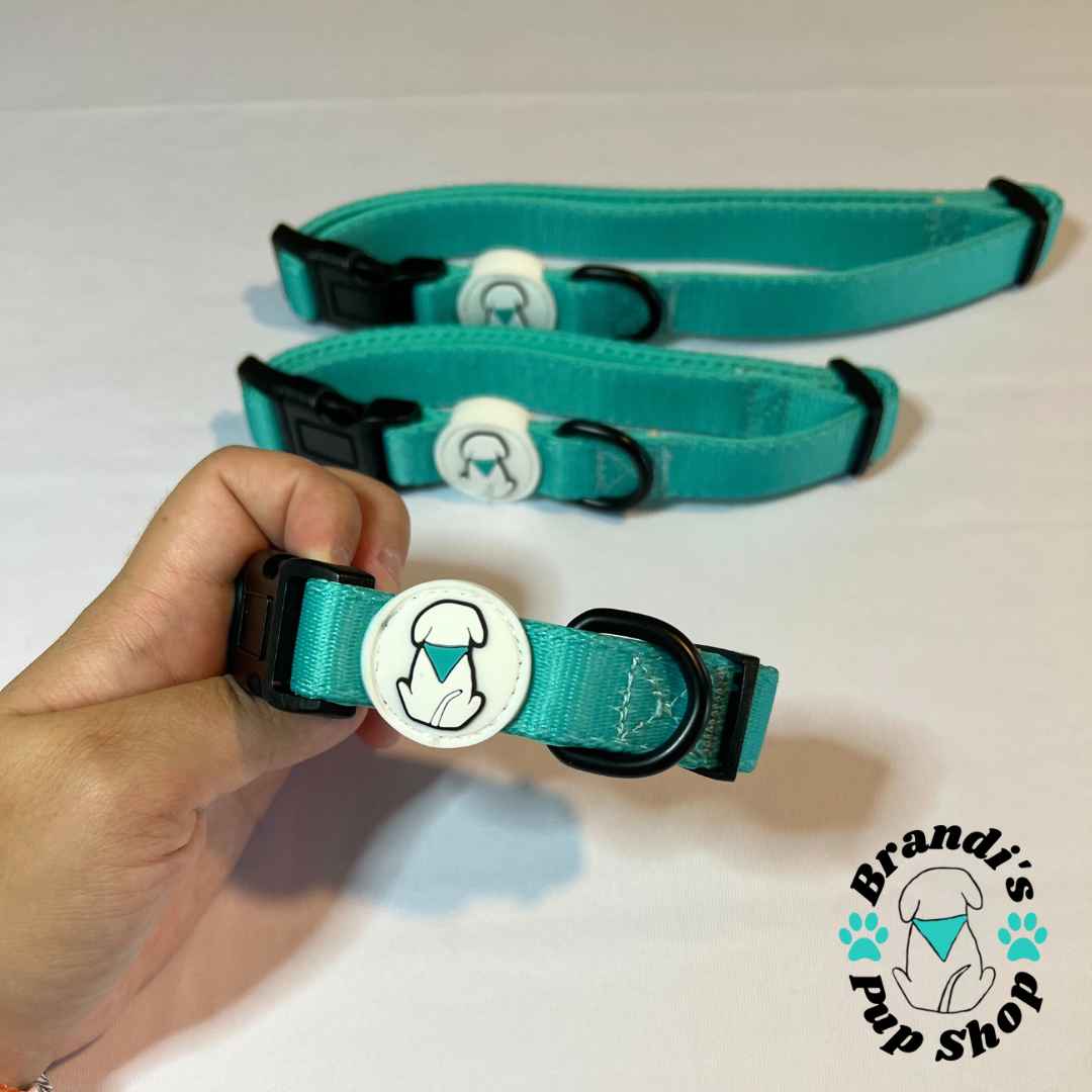 Teal BPS Neoprene Dog Collar