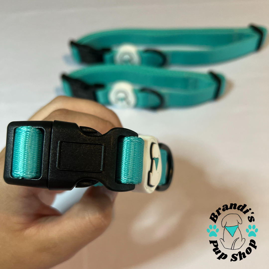 Teal BPS Neoprene Dog Collar