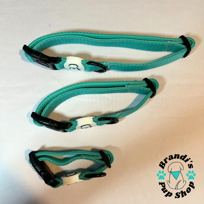Teal BPS Neoprene Dog Collar
