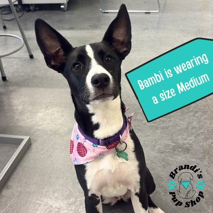 Party Animal ENDURANCE Dog Bandana
