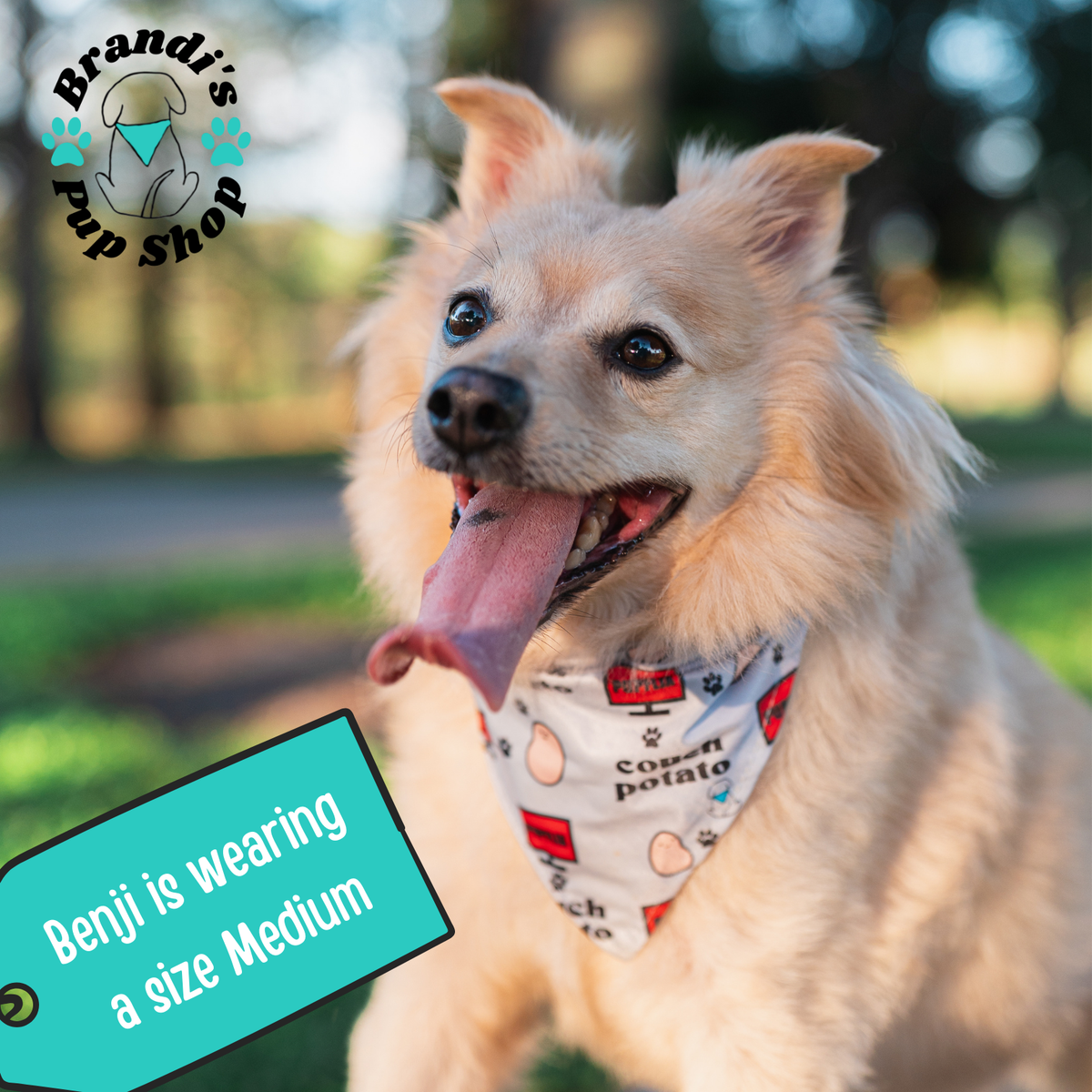 Couch Potato ENDURANCE Dog Bandana