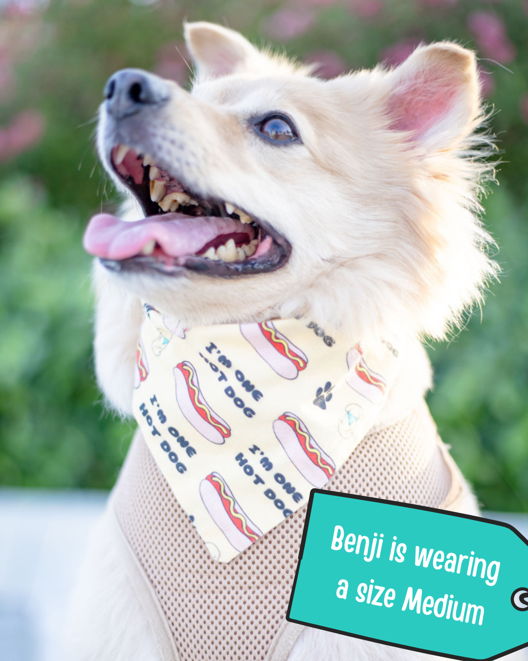 One Hot Dog, Dog Bandana