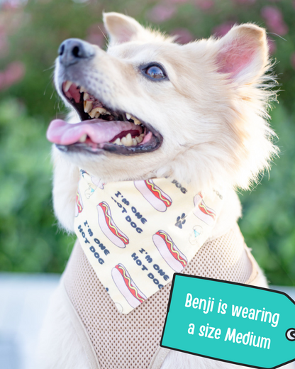 One Hot Dog, Dog Bandana