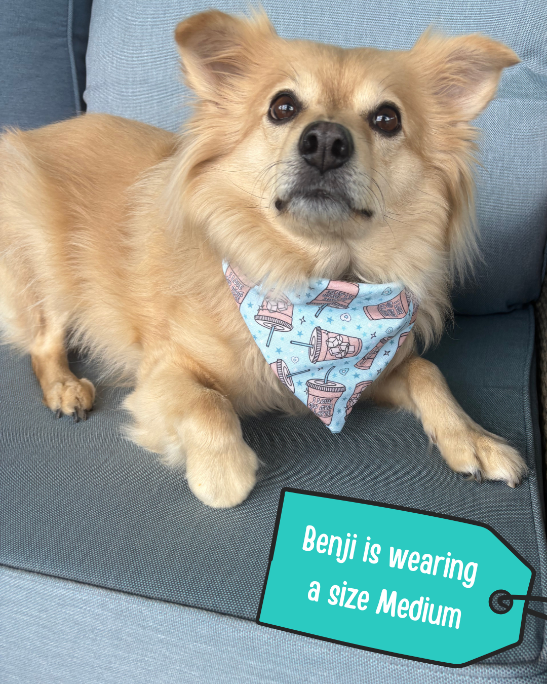 I Love my Mom a Latte Dog Bandana