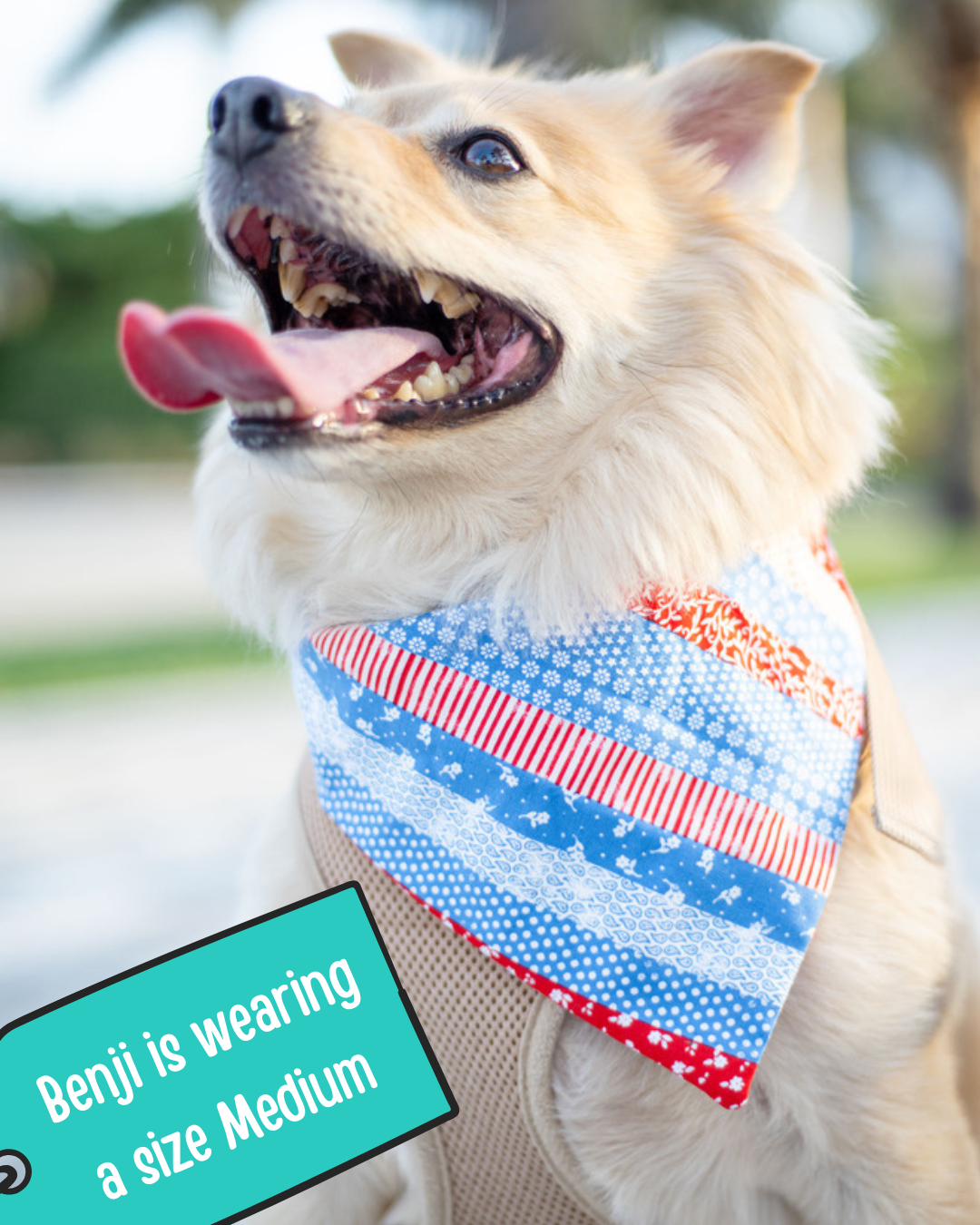 Patriotic Patchwork Dog Bandana
