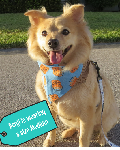 Trick or Treat Dog Bandana