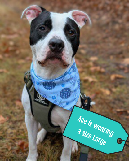 Blue Party Animal Dog Bandana