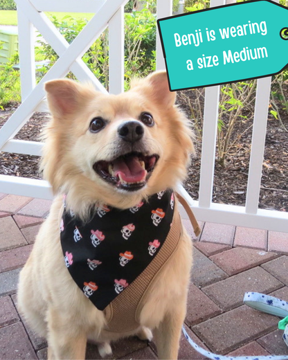 Western Skulls Dog Bandana