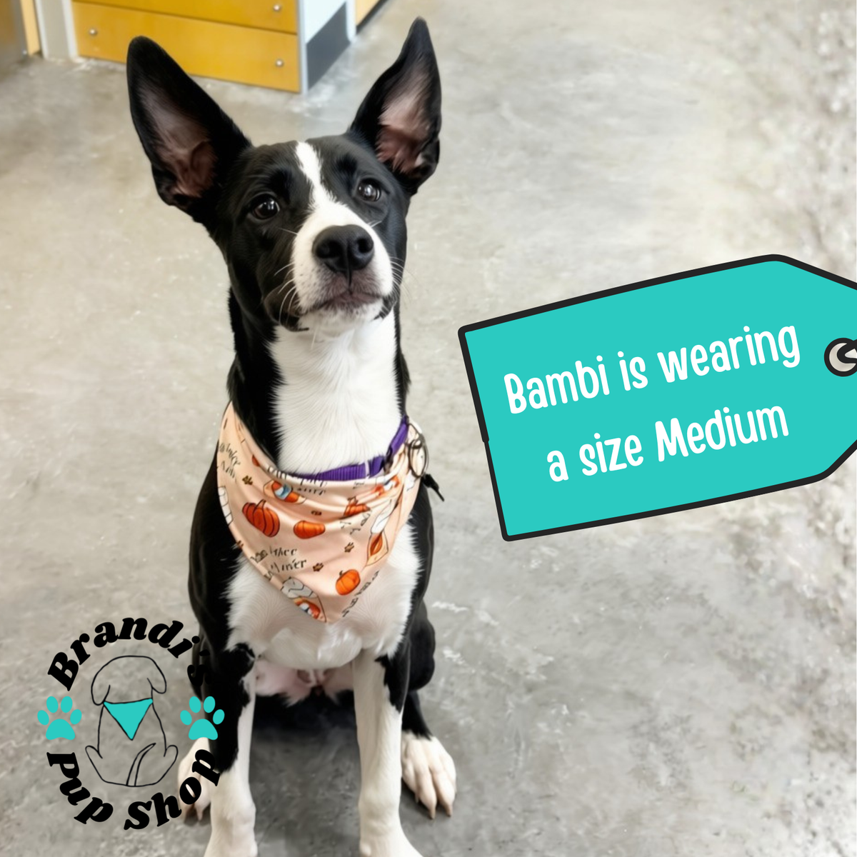 Pup-Kin Spice ENDURANCE Dog Bandana