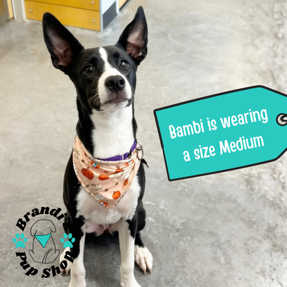 Pup-Kin Spice ENDURANCE Dog Bandana