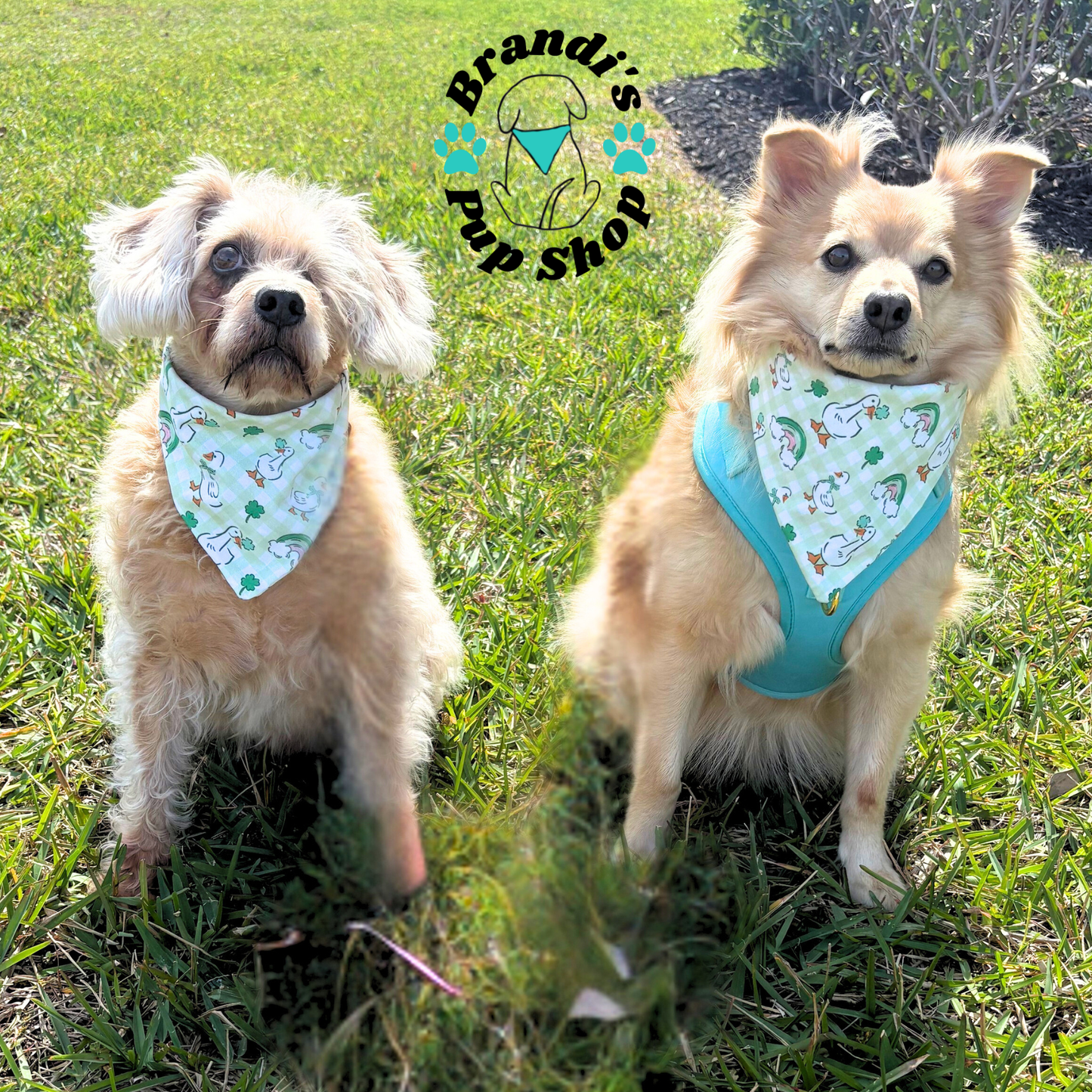 Lucky Duck Dog Bandana