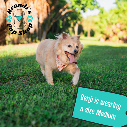 Pup-Kin Spice ENDURANCE Dog Bandana