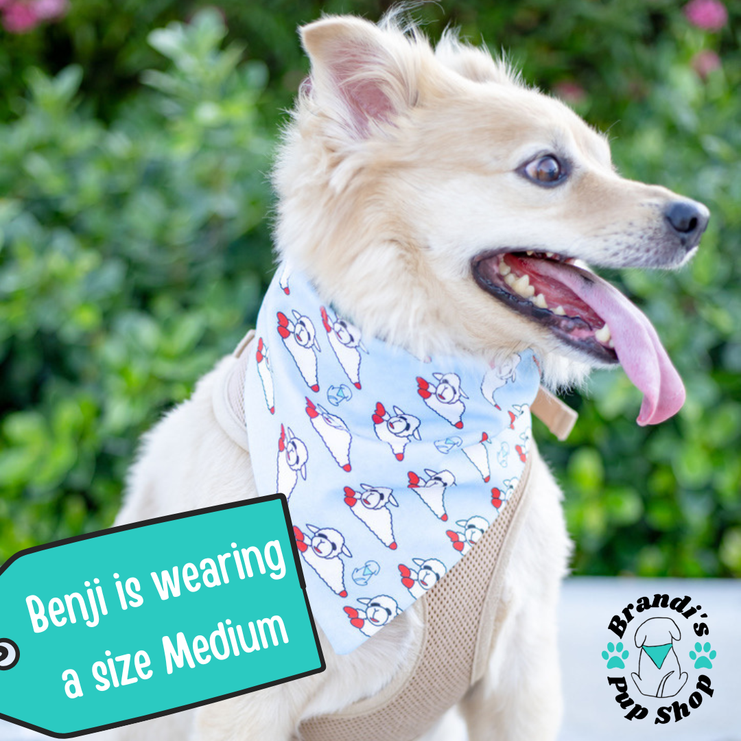 Favorite Dog Toy Bandana