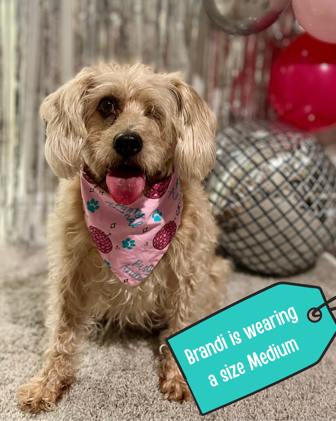 Pink Party Animal Dog Bandana