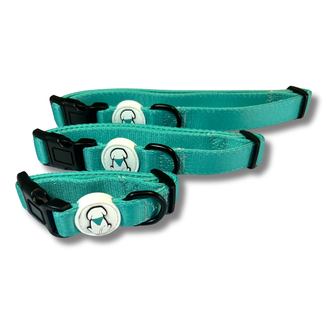 Teal BPS Neoprene Dog Collar