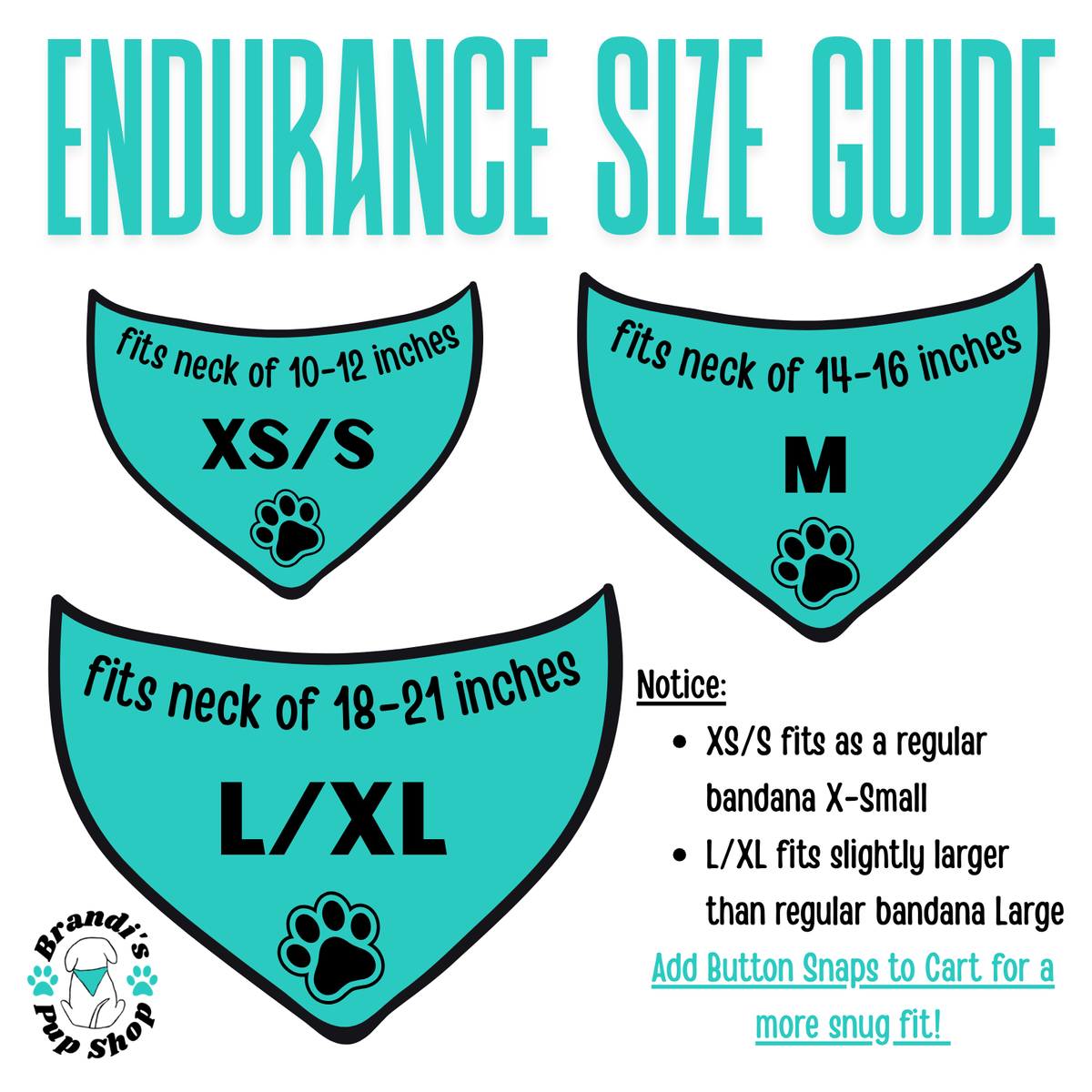 Party Animal ENDURANCE Dog Bandana