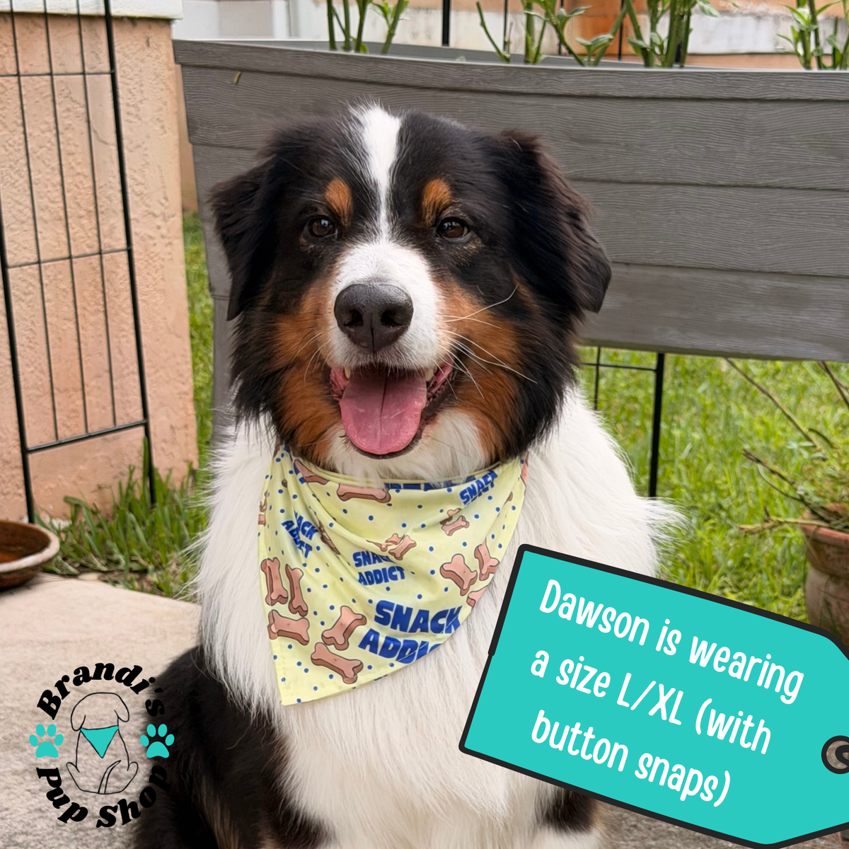 Snack Addict ENDURANCE Dog Bandana
