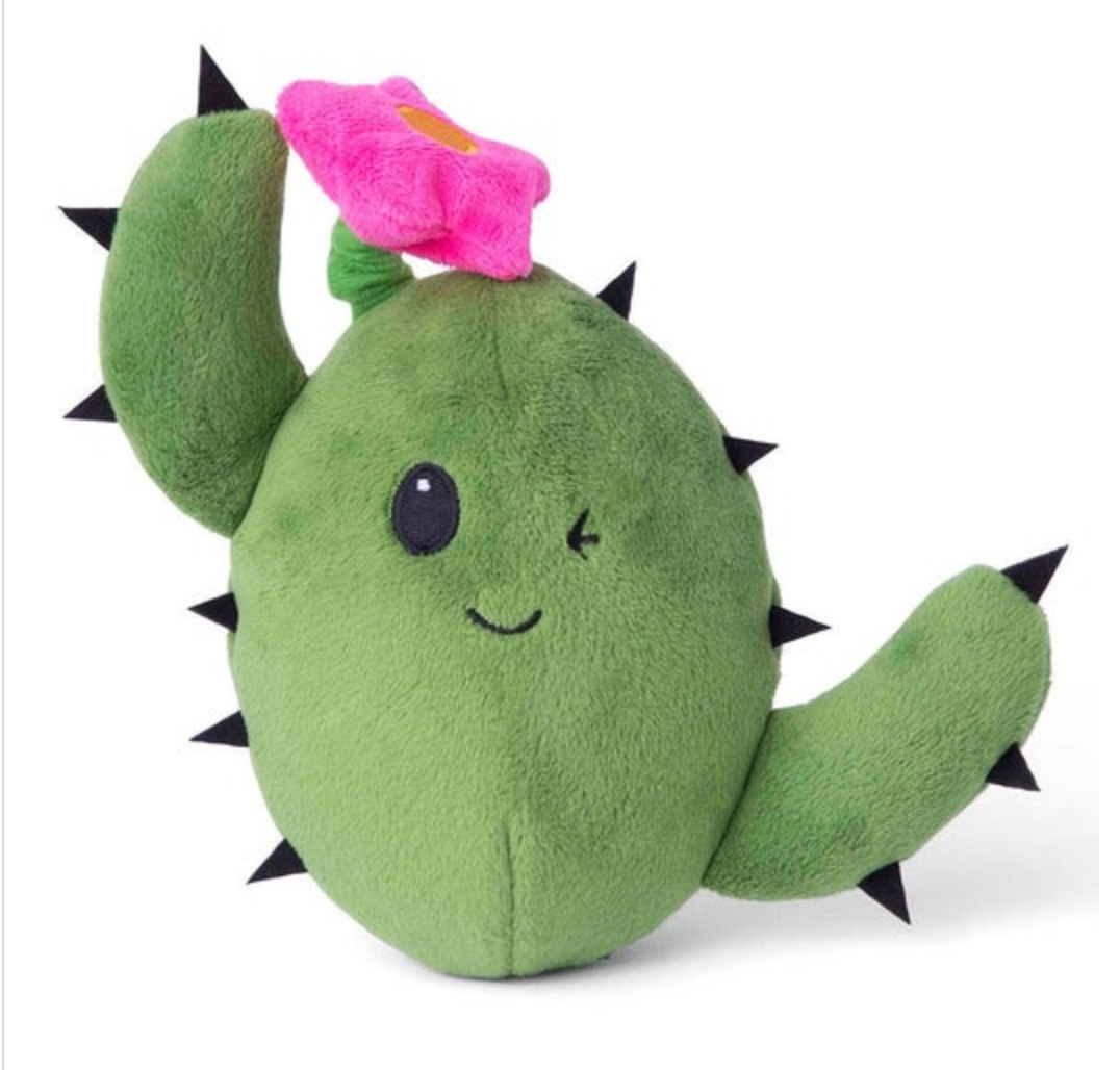 Cactus Dog Toy with Hidden Toy Inside