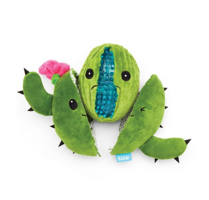 Cactus Dog Toy with Hidden Toy Inside