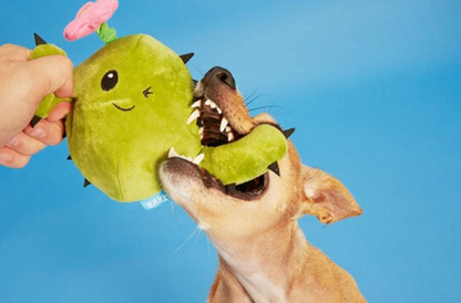 Cactus Dog Toy with Hidden Toy Inside