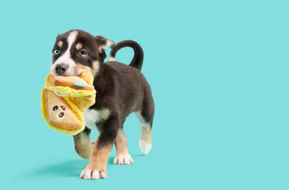 Grilled Cheese Dog Squeaky Toy