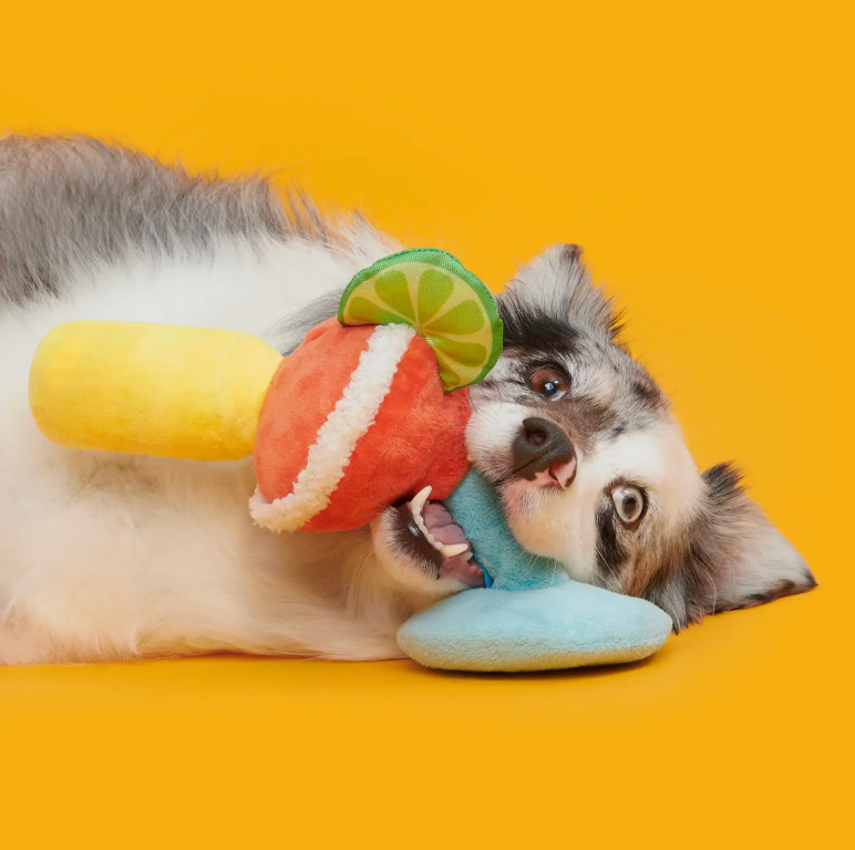 Margarita Dog Toy