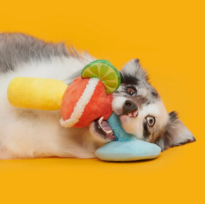 Margarita Dog Toy