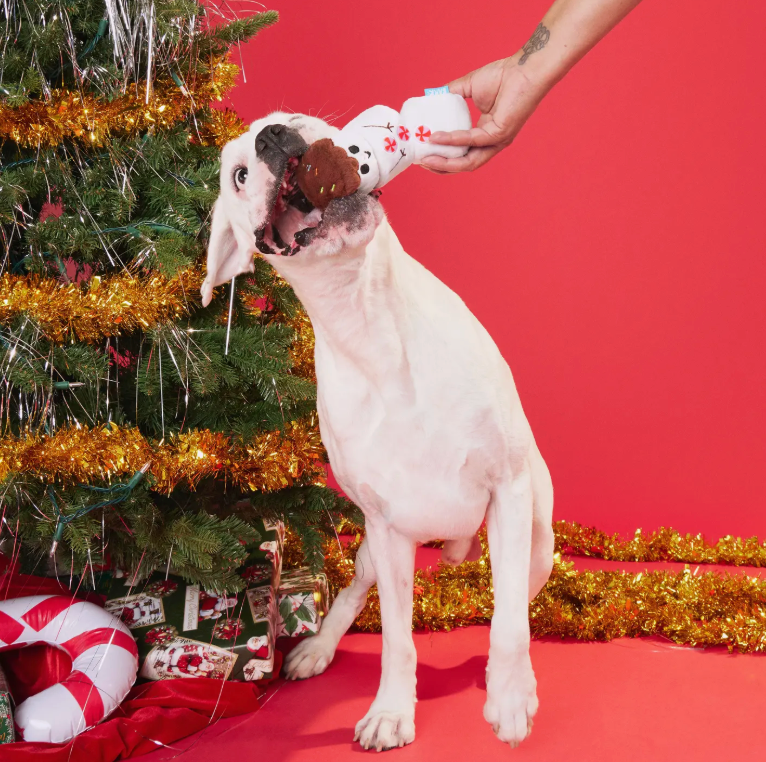 Frosty the S'moreman Dog Toy