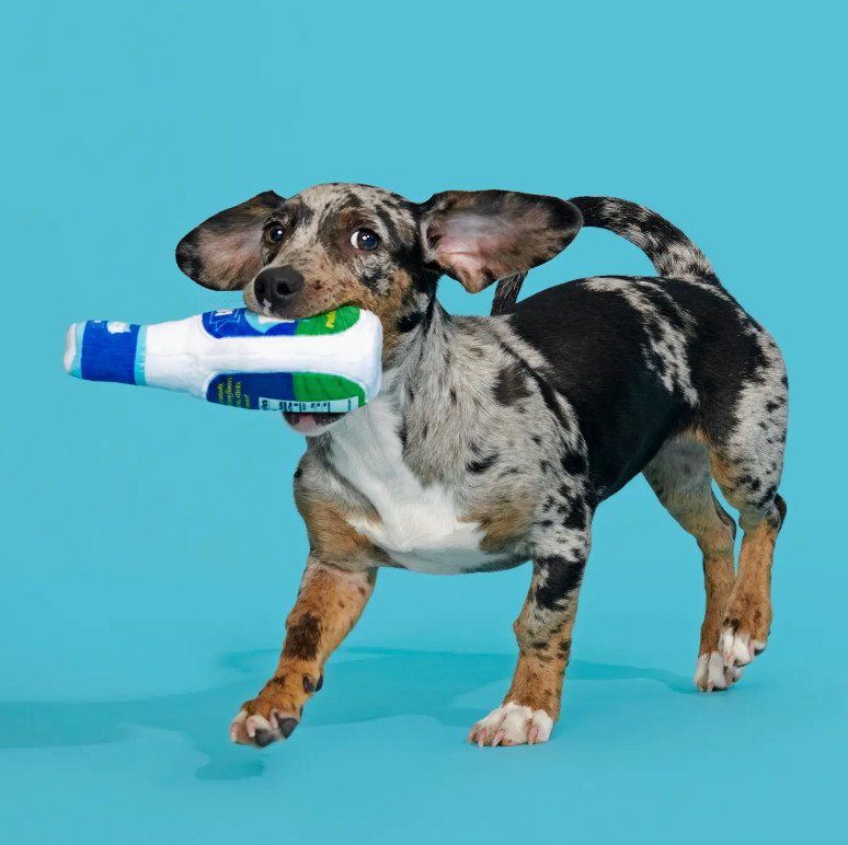 Stinky Valley Ranch Dog Toy