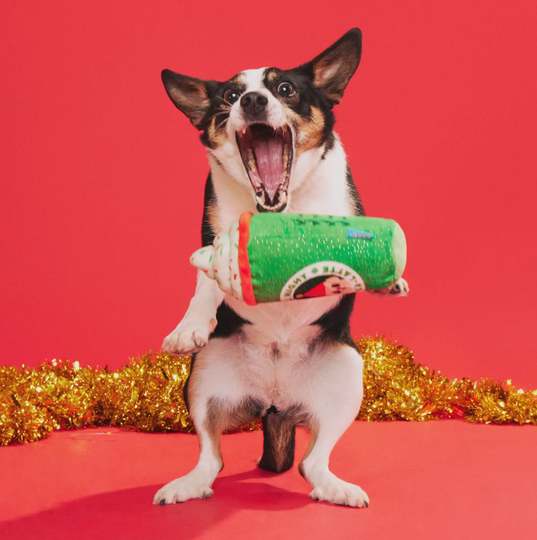 Holiday Latte Dog Toy