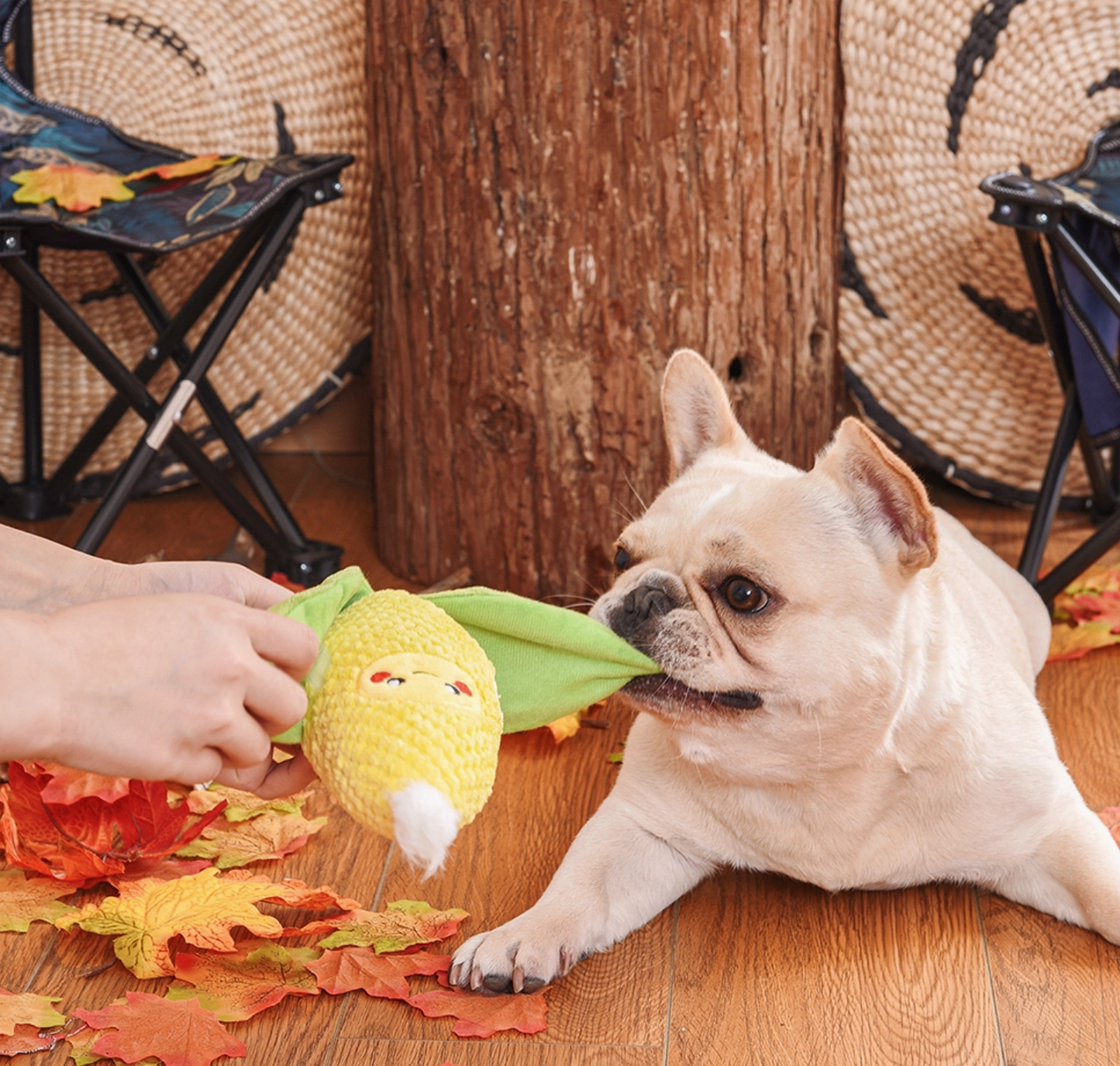 Corn Cob Interactive Dog Toy