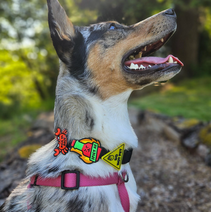 Jiby Dog Collar Charms