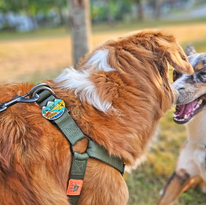 Jiby Dog Collar Charms