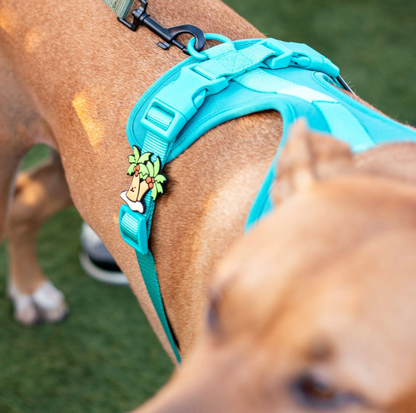 Jiby Dog Collar Charms