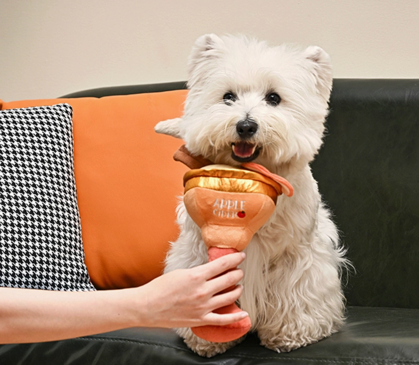 Apple Cider Martini Dog Toy
